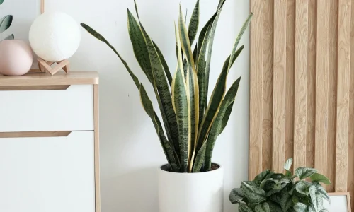 exc-663b6f4b9ac4567d982afe74